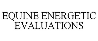 EQUINE ENERGETIC EVALUATIONS