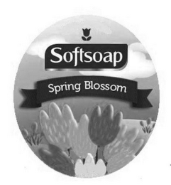 SOFTSOAP SPRING BLOSSOM