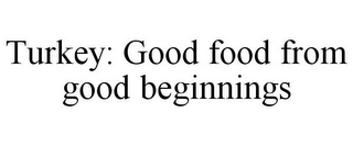 TURKEY: GOOD FOOD FROM GOOD BEGINNINGS