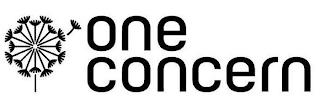 ONE CONCERN