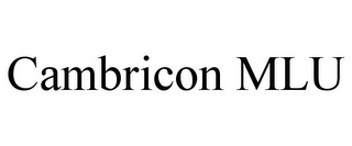 CAMBRICON MLU