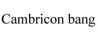 CAMBRICON BANG