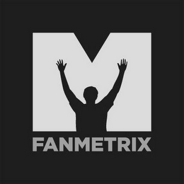 M FANMETRIX