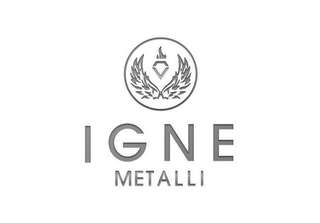 IGNE METALLI