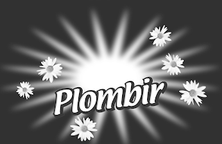 PLOMBIR