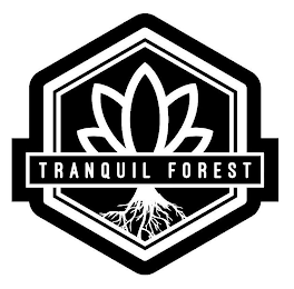 TRANQUIL FOREST