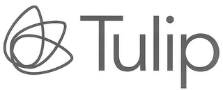 TULIP & TULIP DESIGN