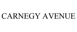 CARNEGY AVENUE