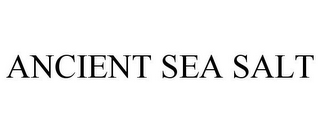 ANCIENT SEA SALT