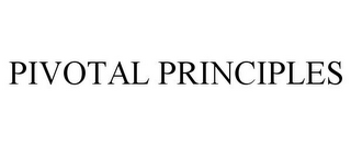 PIVOTAL PRINCIPLES