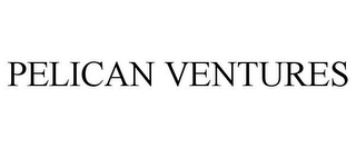 PELICAN VENTURES