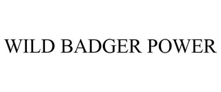 WILD BADGER POWER