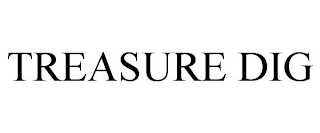 TREASURE DIG