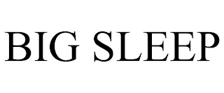 BIG SLEEP