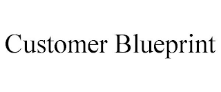 CUSTOMER BLUEPRINT