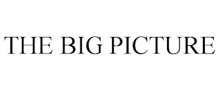 THE BIG PICTURE