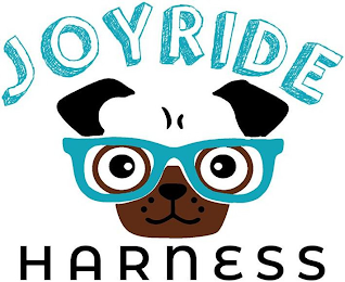 JOYRIDE HARNESS