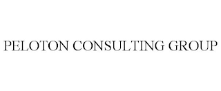 PELOTON CONSULTING GROUP