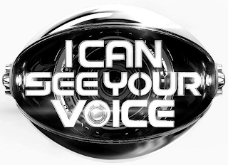 I CAN SEE YOUR VOICE