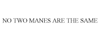 NO TWO MANES ARE THE SAME