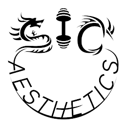 SIC AESTHETICS