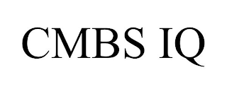 CMBS IQ