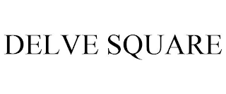 DELVE SQUARE