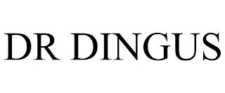 DR DINGUS