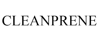 CLEANPRENE