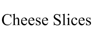 CHEESE SLICES