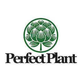 PERFECT PLANT
