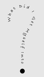 WHAT DID I GET MYSELF INTO