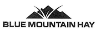 BLUE MOUNTAIN HAY