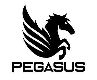 PEGASUS