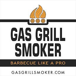 GAS GRILL SMOKER BARBEQUE LIKE A PRO GASGRILLSMOKER.COM