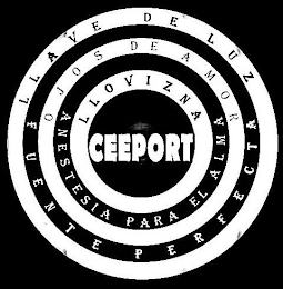 LLAVE DE LUZ FUENTE PERFECTA OJOS DE AMOR ANESTESIA PARA EL ALMA LLOVIZNA CEEPORT