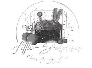 LITTLE-SURPRISES COME IN BIG BOXES