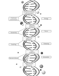 BRILLIANCE INDICATOR (CORE MOTIVATOR) EMOTIONAL COMMITMENT ENERGY PERSONAL BRILLIANCE OWNERSHIP FOCUS LEADERSHIP BRILLIANCE COACHING PARTNERING TEAM BRILLIANCE SERVICE CULTURE INNOVATION ORGANIZATIONAL BRILLIANCE