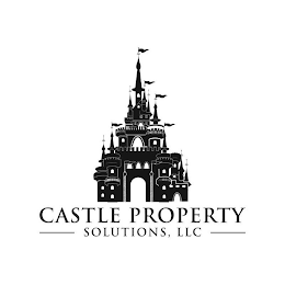 CASTLE PROPERTY SOLUTIONS, LLC