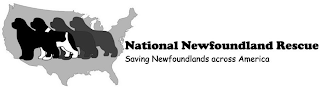 NATIONAL NEWFOUNDLAND RESCUE SAVING NEWFOUNDLANDS ACROSS AMERICA