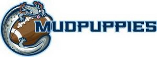 MUDPUPPIES