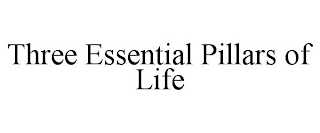THREE ESSENTIAL PILLARS OF LIFE