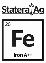 STATERA AG 26 FE IRON A++