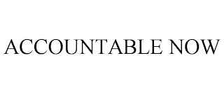 ACCOUNTABLE NOW