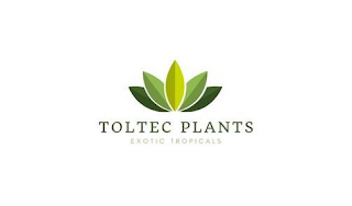 TOLTEC PLANTS EXOTIC TROPICALS