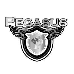 PEGASUS P