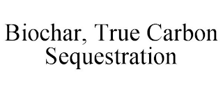 BIOCHAR, TRUE CARBON SEQUESTRATION