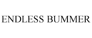 ENDLESS BUMMER