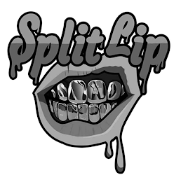 SPLIT LIP
