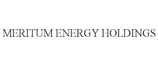 MERITUM ENERGY HOLDINGS